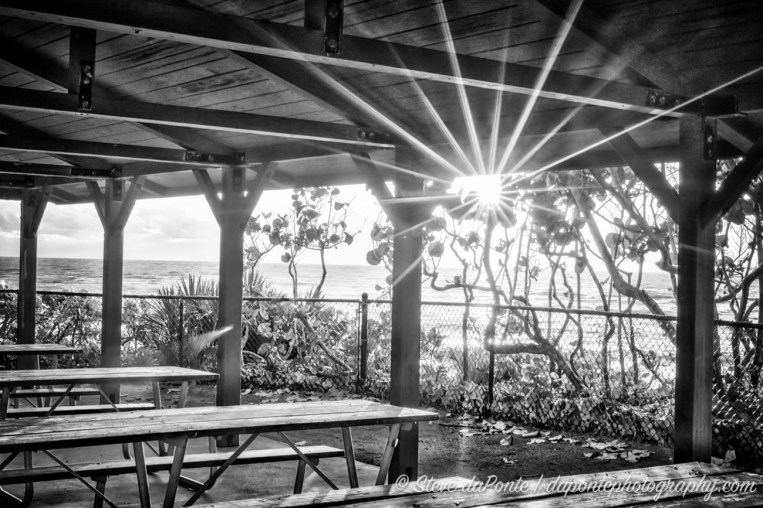 stevedaponte_sunburst_DSC08415