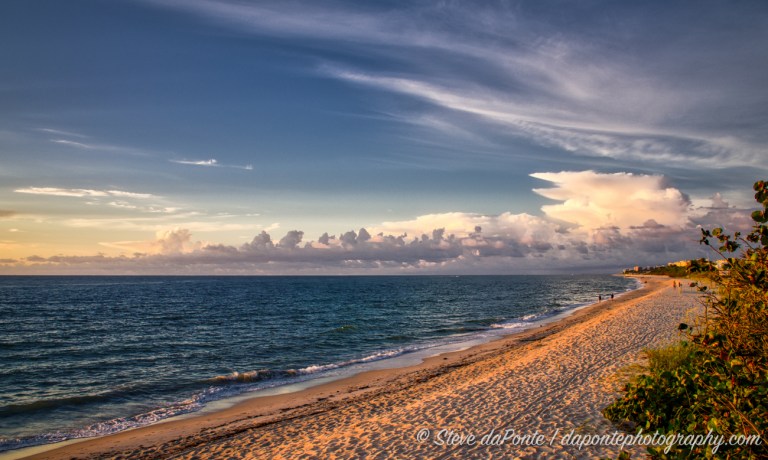 stevedaponte_carlinpark_sunshine_DSC08728