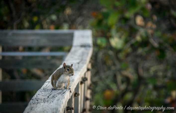 stevedaponte_doyouhavefood_DSC08799