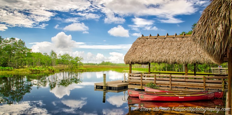 stevedaponte_grassywaters_DSC09341