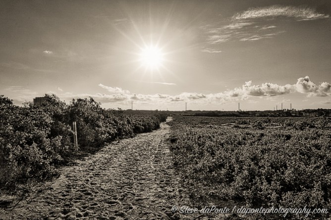 stevedaponte_junodunestrailmono_DSC08717