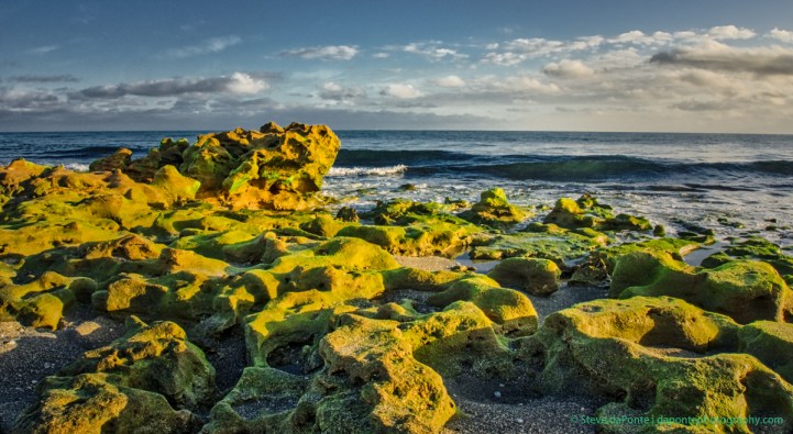 stevedaponte_alongtheshore_DSC01183