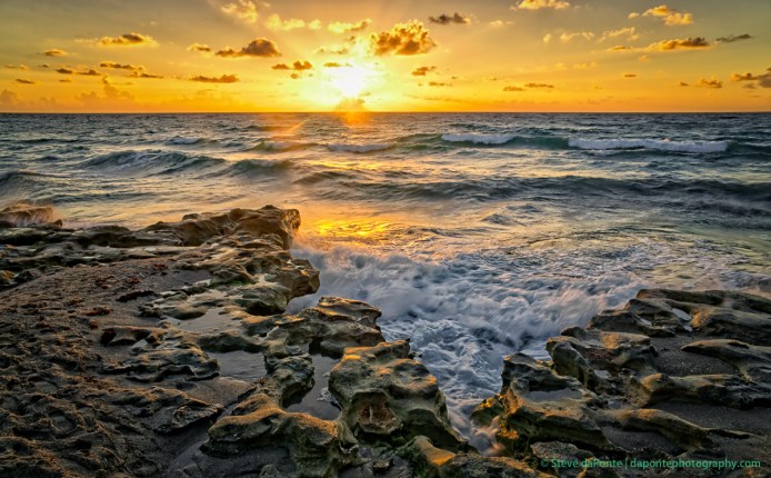 stevedaponte_carlinpark_DSC01199