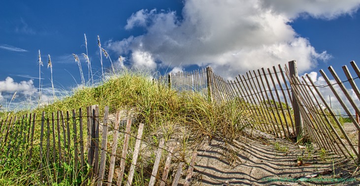 stevedaponte_dune_DSC02459