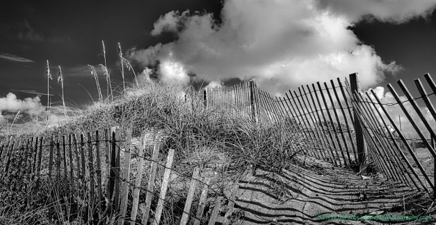 stevedaponte_dune_DSC02459mono