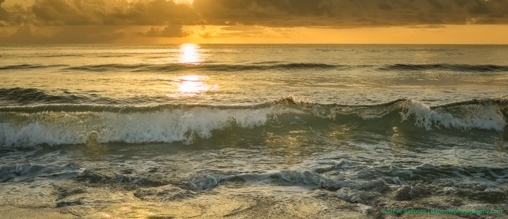 stevedaponte_rollingwave2_DSC01975