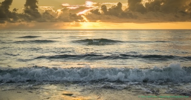 stevedaponte_rollingwave_DSC01927