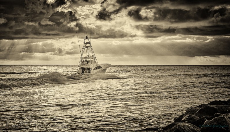 stevedaponte_anglermono_DSC09150