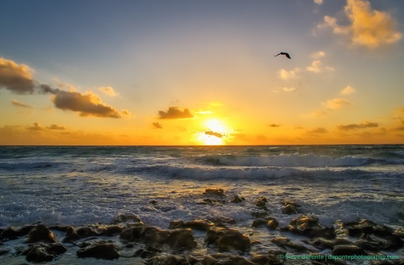 stevedaponte_cacrlin_park_dsc03233