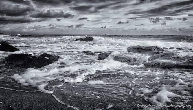 stevedaponte_coralcove_DSC00614