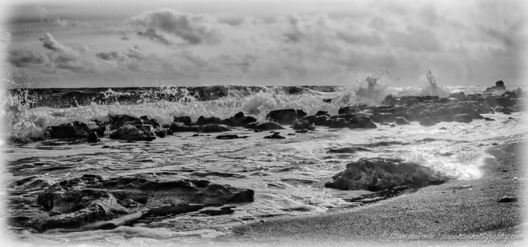 stevedaponte_coralcove_DSC00641