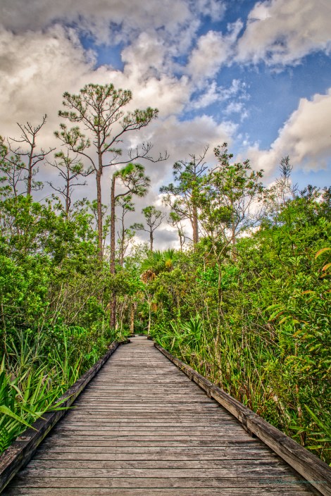 steve_daponte_boardwalk_dsc03446