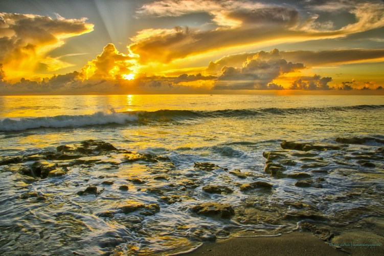 steve_daponte_carlinparksunrise_dsc04105