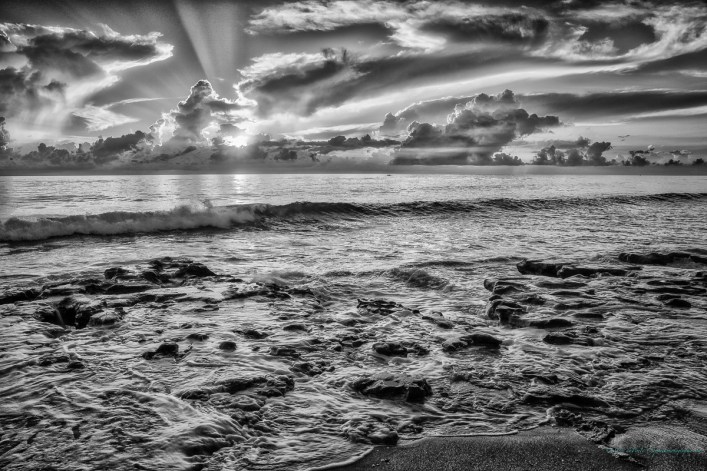 steve_daponte_carlinparksunrisemono_dsc04105