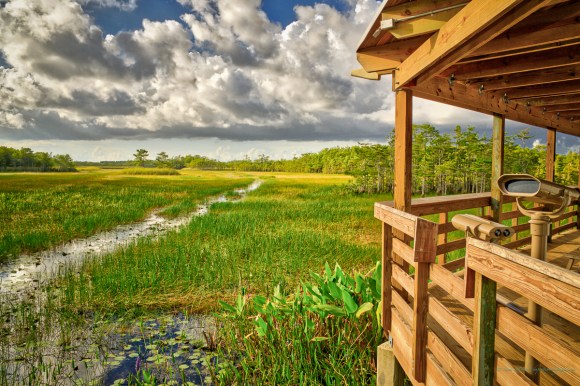 steve_daponte_grassywaters_dsc03354