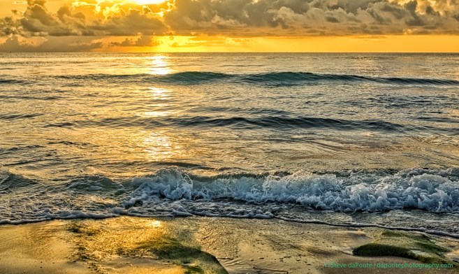 stevedaponte_carlin_park_dsc01959