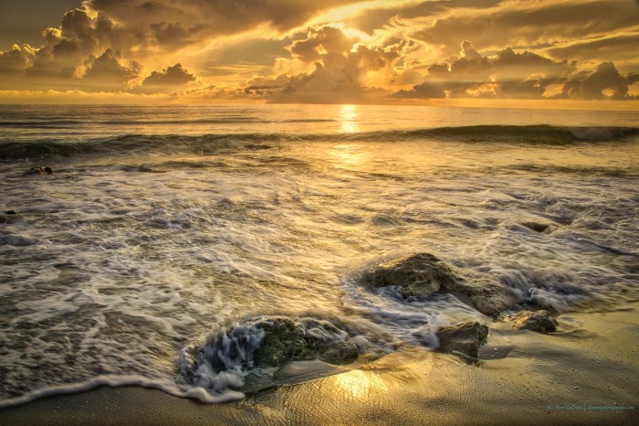 steve_daponte_caarlinparkbeach_dsc04394