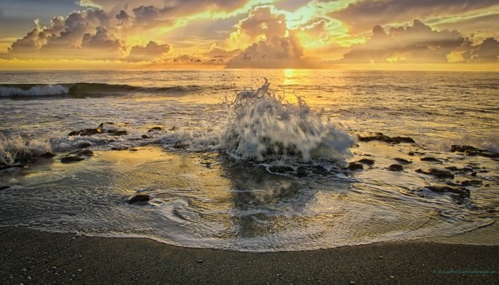 steve_daponte_carlinparkbeach_dsc04355