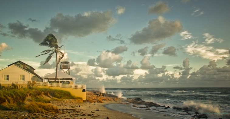 steve_daponte_houseofrefugebeach_dsc05609