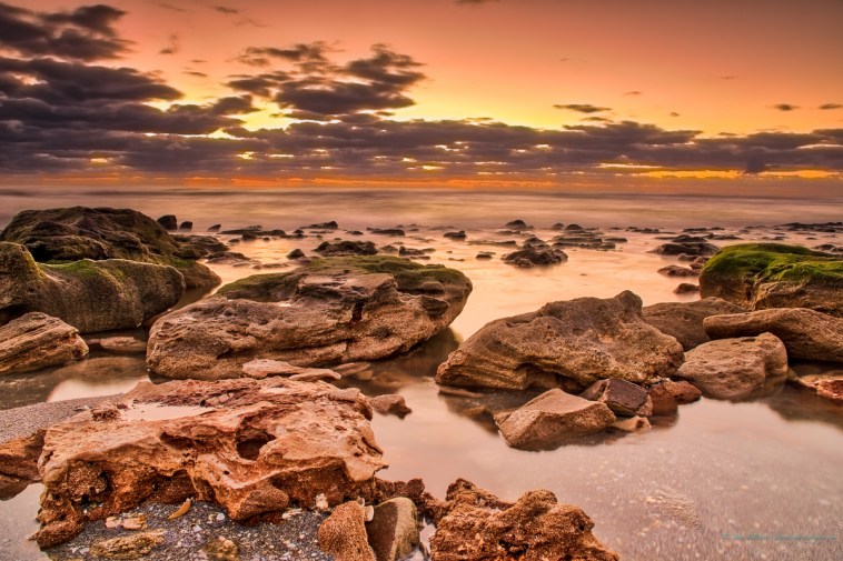 steve_daponte_carlinpark_dsc06158