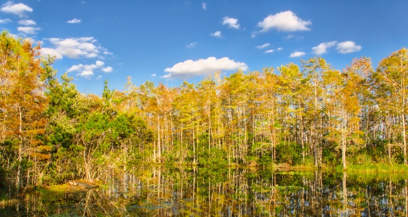 steve_daponte_grassywaters_dsc06911