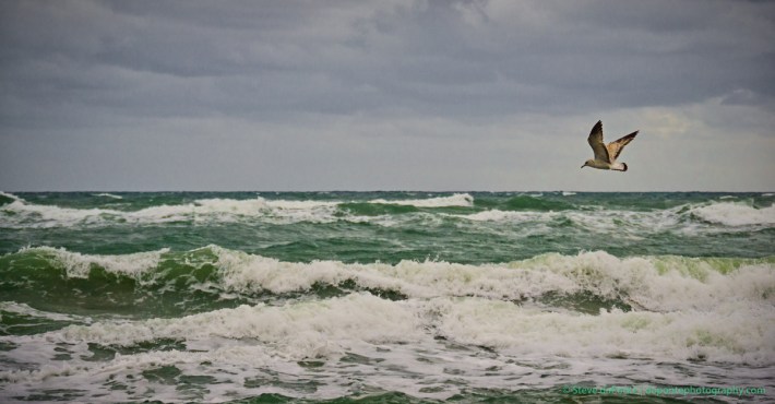 steve_daponte_carliinpark_dsc09354