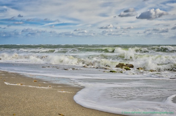 steve_daponte_carlinpark_dsc06691