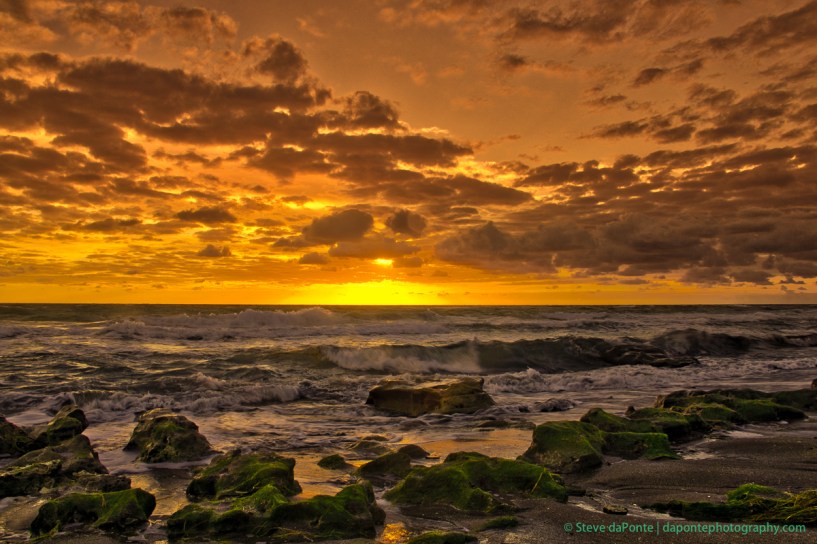 steve_daponte_carlinpark_dsc07841