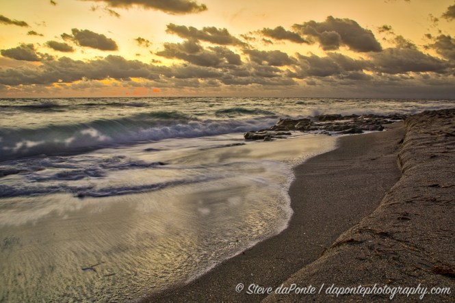 steve_daponte_carlinparkdsc08426