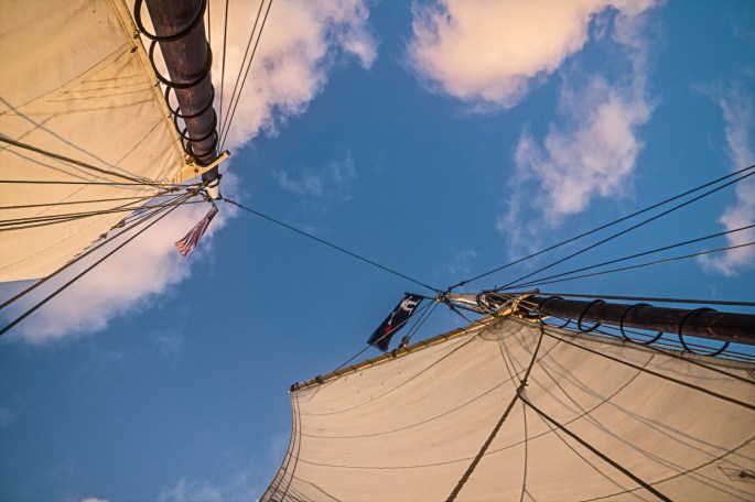 steve_daponte_dsc08865