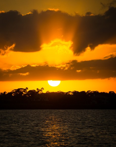 steve_daponte_dsc08892