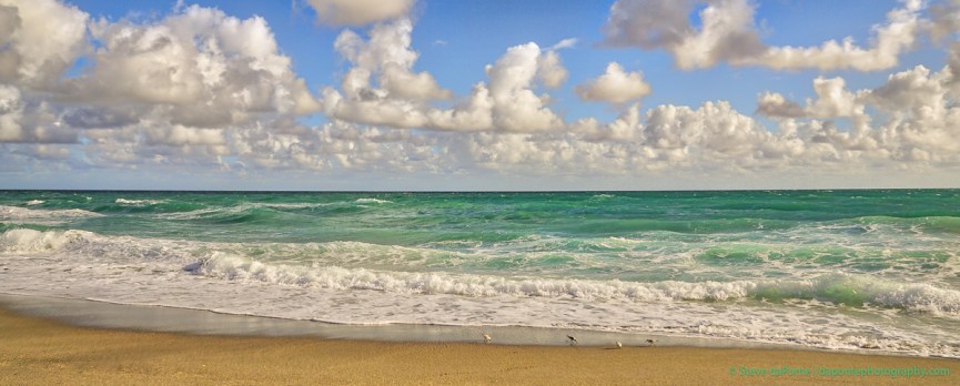 steve_daponte_morningbeachvista_dsc09614