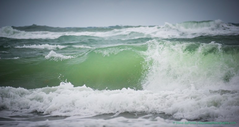 steve_daponte_thesea_dsc09177