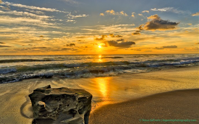 steve_daponte_carlinpark_dsc01612