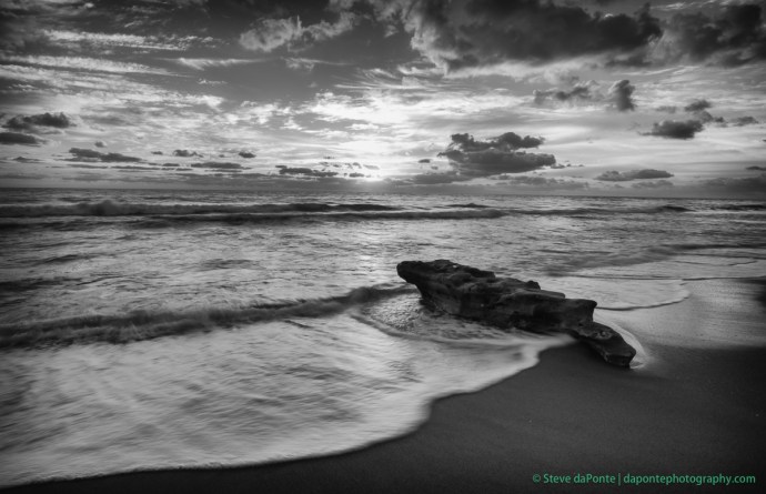 steve_daponte_carlinpark_dsc01484