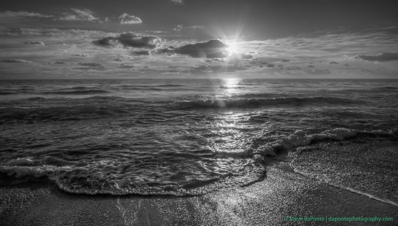 steve_daponte_carlinpark_dsc01912